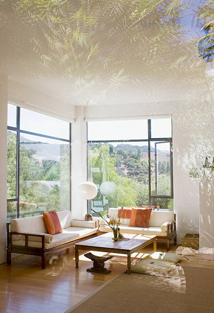 the best window solution near in The Colony Tx