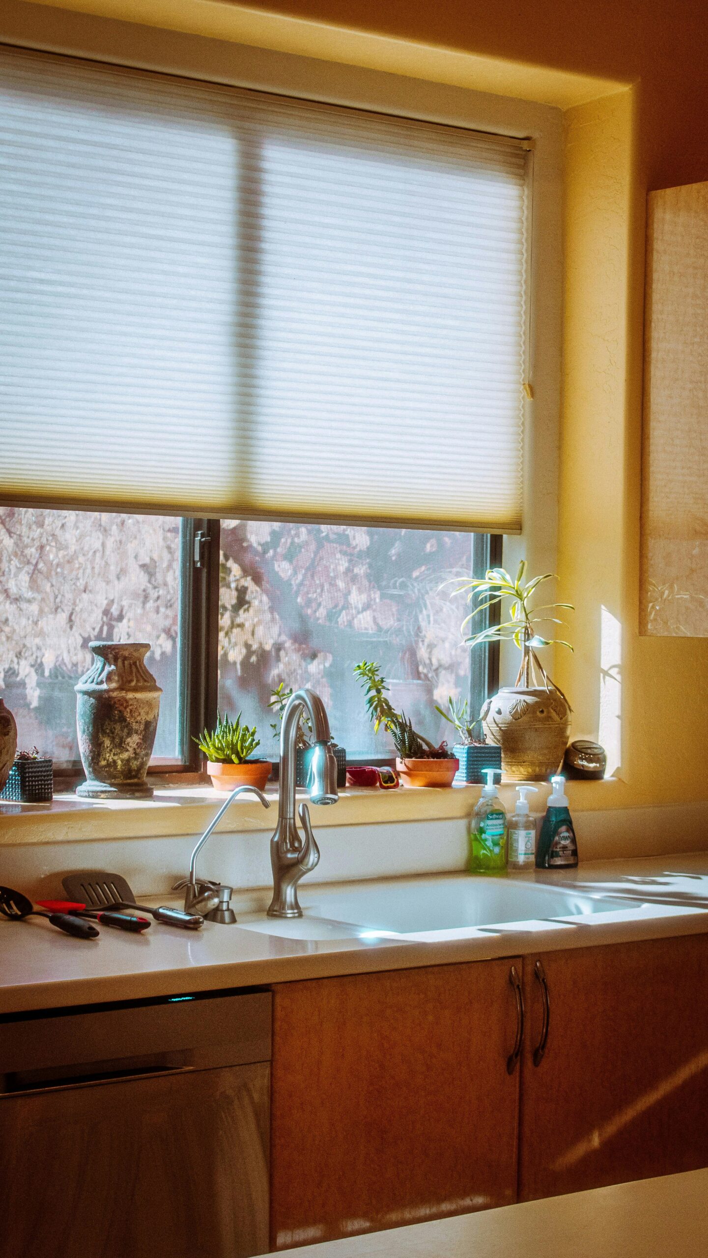 trusted window replacement in Preston Estates
